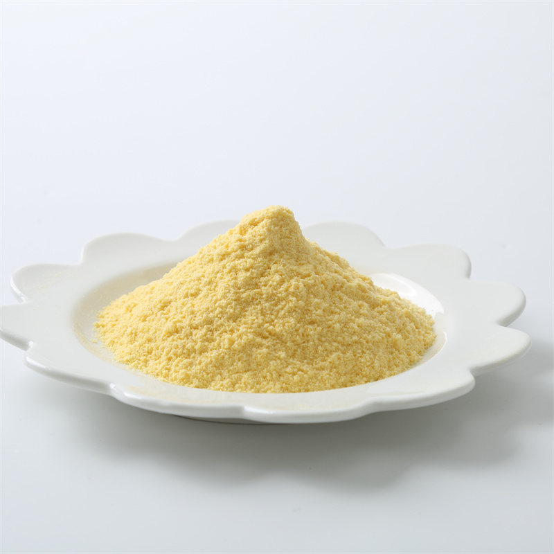Amphotericin B CAS 1397-89-3