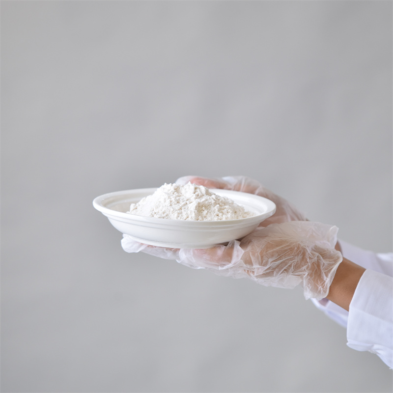 Hydroxypropyl Methylcellulose CAS 9004-65-3